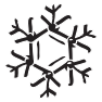 IWEPNM snowflake logo